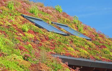 Stodday living roof systems