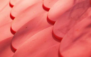 Stodday plastic roof costs