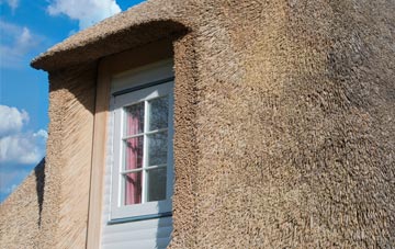 Stodday thatch roof disadvantages